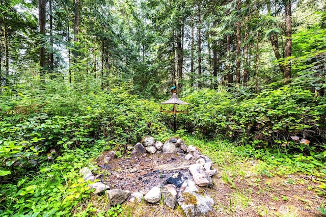 473 Wishkah Ln, Center Island, WA 98221 - photo 29