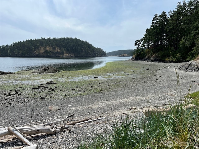 473 Wishkah Ln, Center Island, WA 98221 - photo 36