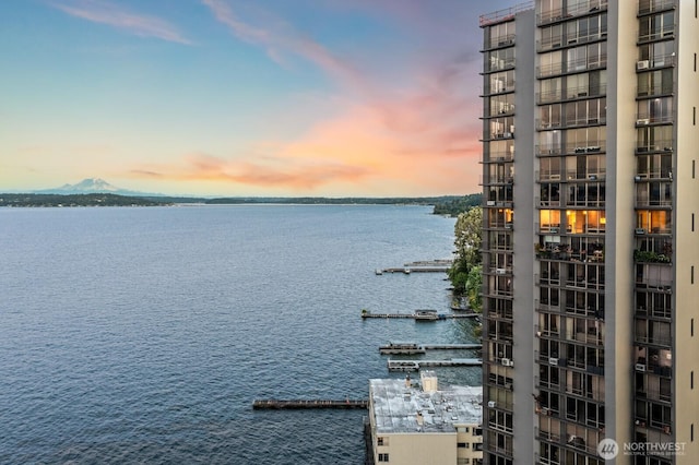 1620 43rd Ave E Unit 15A-B, Seattle, WA 98112 - water view