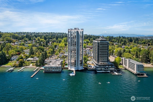 1620 43rd Ave E Unit 15A-B, Seattle, WA 98112 - aerial view of a large body of water