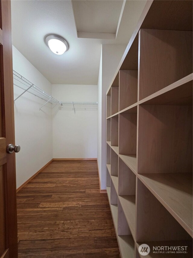 408 Eddy Ct, Port Townsend, WA 98368 - walk in closet featuring dark wood finished floors