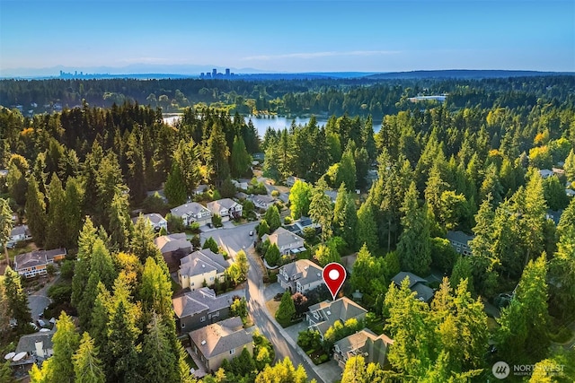 2240 167th Ave SE, Bellevue, WA 98008 - photo 38