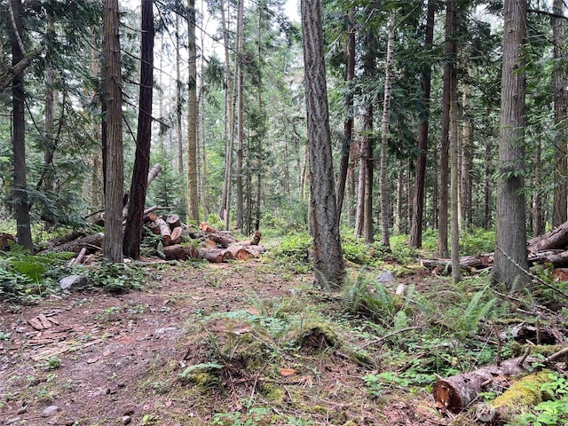 0 Wishkah Ln, Anacortes, WA 98221 - photo 2