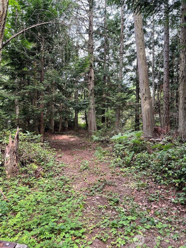 0 Wishkah Ln, Anacortes, WA 98221 - photo 5
