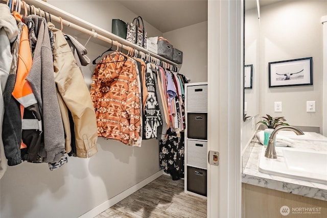 3563 Sweet Rd, Blaine, WA 98230 - walk in closet featuring a sink and wood finished floors