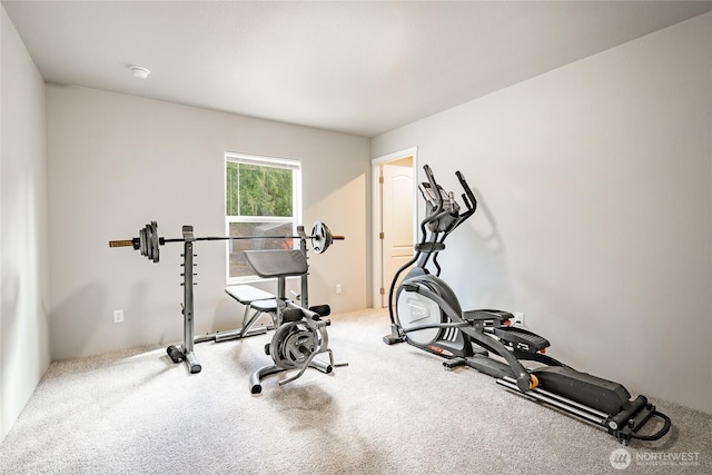 3563 Sweet Rd, Blaine, WA 98230 - exercise area featuring carpet flooring
