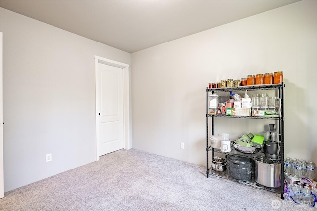 3563 Sweet Rd, Blaine, WA 98230 - view of carpeted bedroom