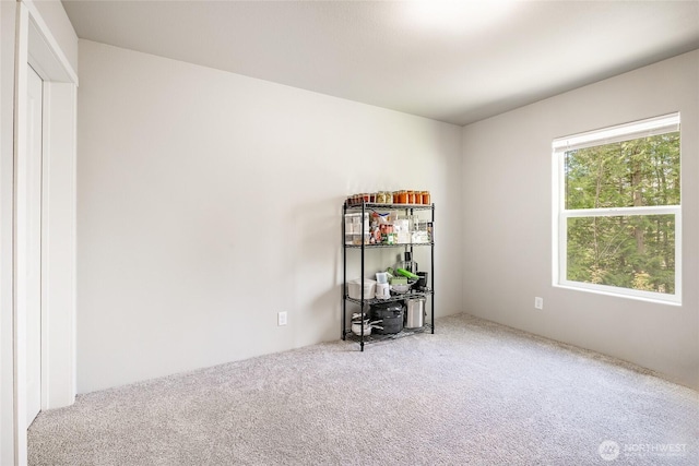 3563 Sweet Rd, Blaine, WA 98230 - spare room featuring carpet flooring