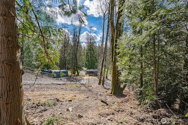 3563 Sweet Rd, Blaine, WA 98230 - view of undeveloped land