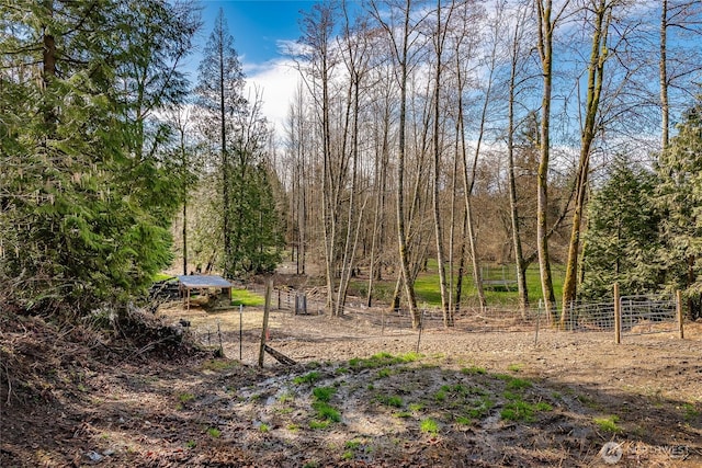 3563 Sweet Rd, Blaine, WA 98230 - view of yard