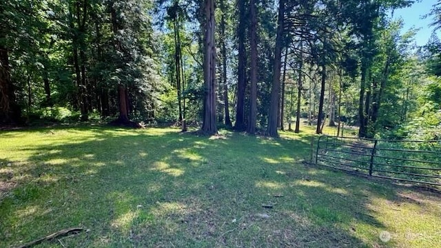 3563 Sweet Rd, Blaine, WA 98230 - view of yard with a gate