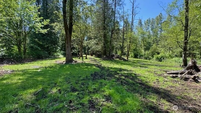 3563 Sweet Rd, Blaine, WA 98230 - view of green lawn