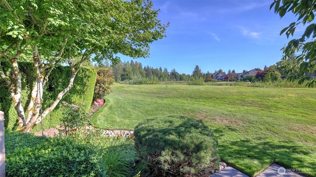 24611 SE 2nd Pl, Sammamish, WA 98074 - photo 18