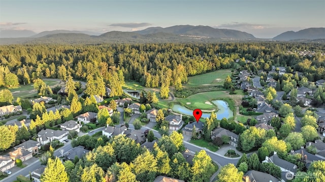 24611 SE 2nd Pl, Sammamish, WA 98074 - photo 37