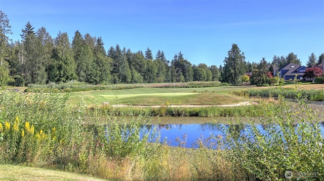 24611 SE 2nd Pl, Sammamish, WA 98074 - photo 38