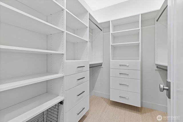 231 19th Ave, Kirkland, WA 98033 - spacious closet featuring light colored carpet