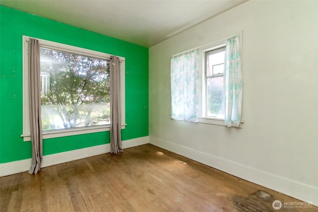125 N 74th St, Seattle, WA 98103 - photo 9