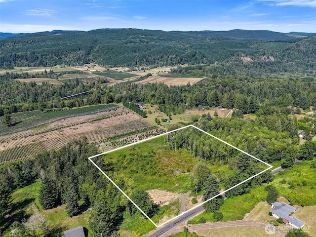 233 Young Rd, Mossyrock, WA 98564 - photo 1