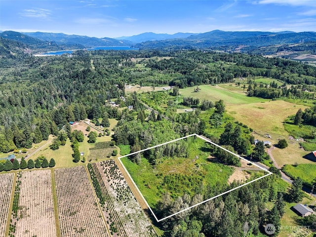 233 Young Rd, Mossyrock, WA 98564 - photo 2
