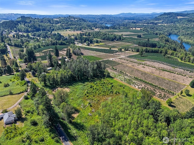 233 Young Rd, Mossyrock, WA 98564 - photo 4