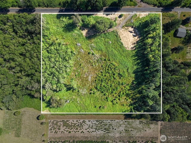 233 Young Rd, Mossyrock, WA 98564 - photo 6