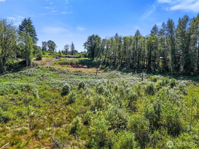 233 Young Rd, Mossyrock, WA 98564 - photo 8