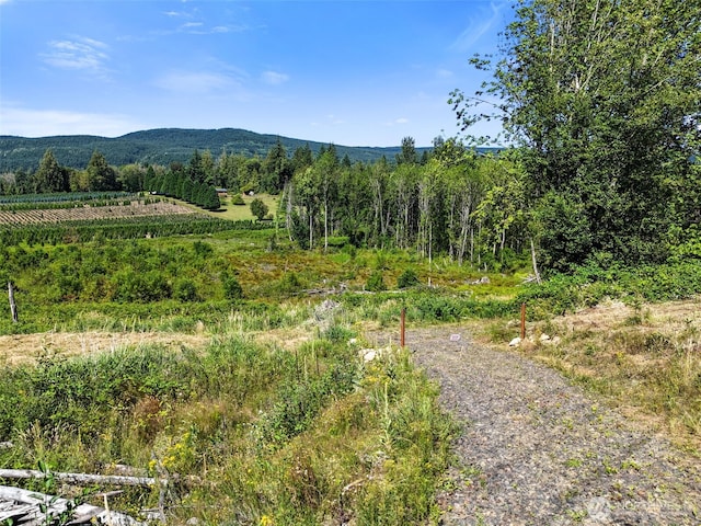 233 Young Rd, Mossyrock, WA 98564 - photo 10