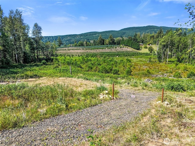 233 Young Rd, Mossyrock, WA 98564 - photo 3