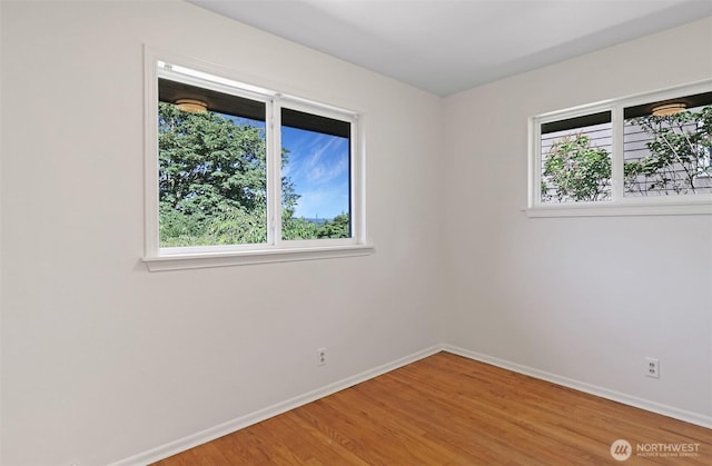 1521 Lake Ave S, Renton, WA 98055 - photo 16