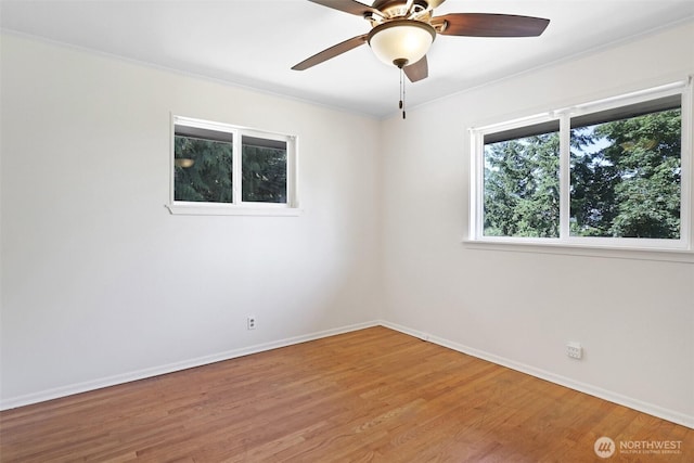 1521 Lake Ave S, Renton, WA 98055 - photo 19