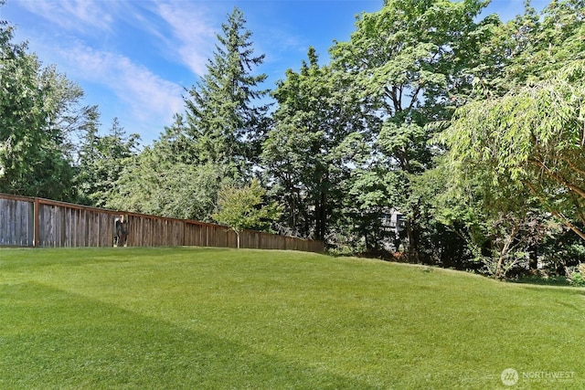 1521 Lake Ave S, Renton, WA 98055 - photo 23