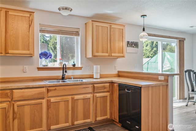 114 Deer Park Ln, Kelso, WA 98626 - photo 9