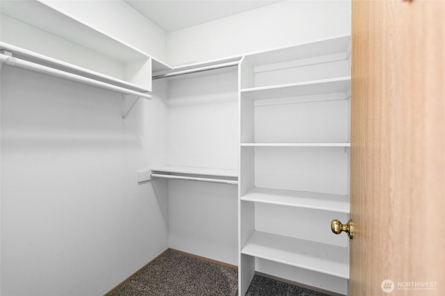 6018 Silver Oaks Ct SE, Tumwater, WA 98501 - photo 20