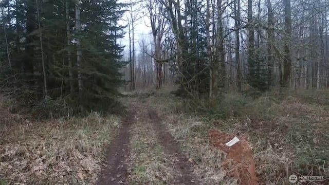 841 W Main, Morton, WA 98356 - photo 1
