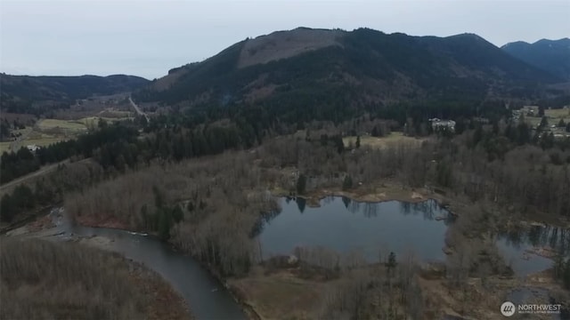841 W Main, Morton, WA 98356 - photo 7
