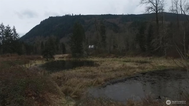 841 W Main, Morton, WA 98356 - photo 10