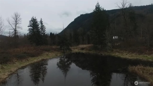 841 W Main, Morton, WA 98356 - photo 11