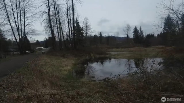 841 W Main, Morton, WA 98356 - photo 17
