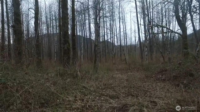 841 W Main, Morton, WA 98356 - photo 22