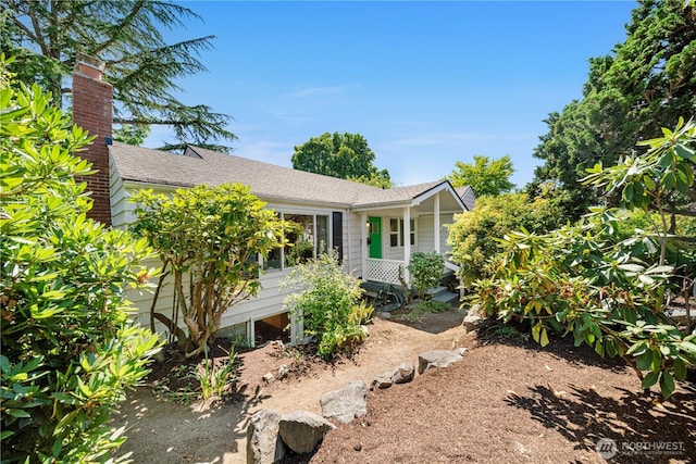 5717 NE 57th St, Seattle, WA 98105 - photo 34