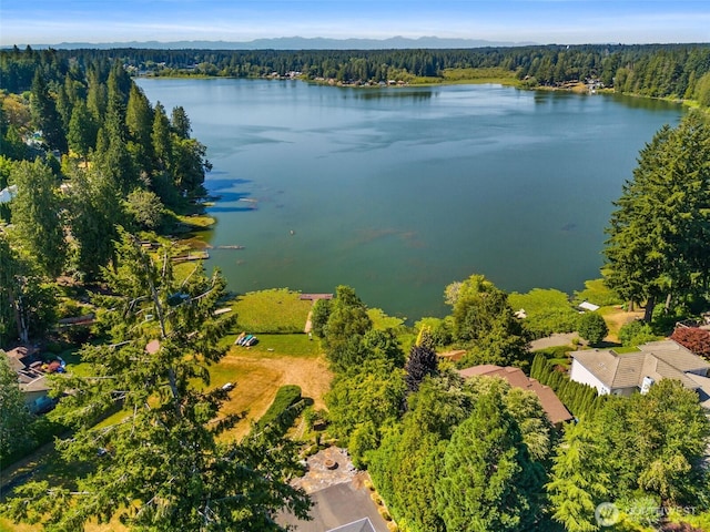 6701 Macintosh Ct SE, Olympia, WA 98513 - drone / aerial view of a forest and a large body of water