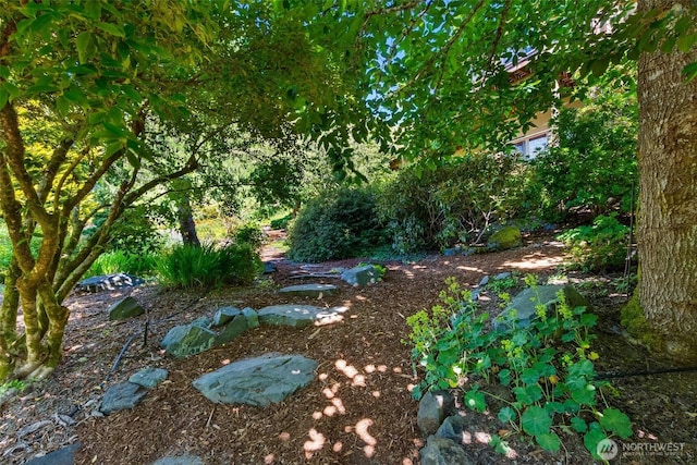 6701 Macintosh Ct SE, Olympia, WA 98513 - view of yard
