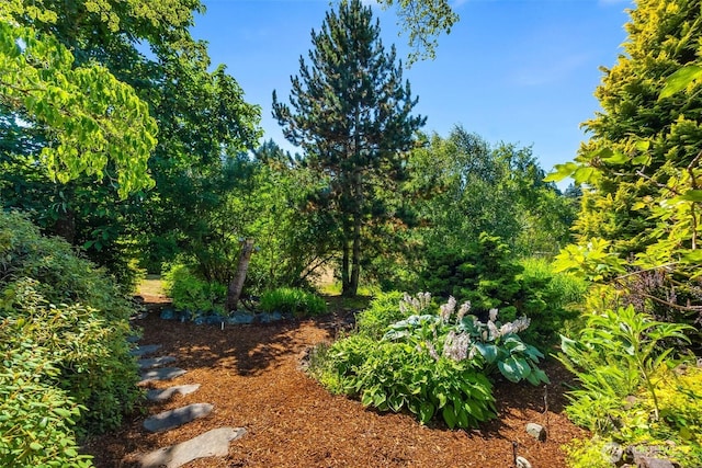 6701 Macintosh Ct SE, Olympia, WA 98513 - view of yard