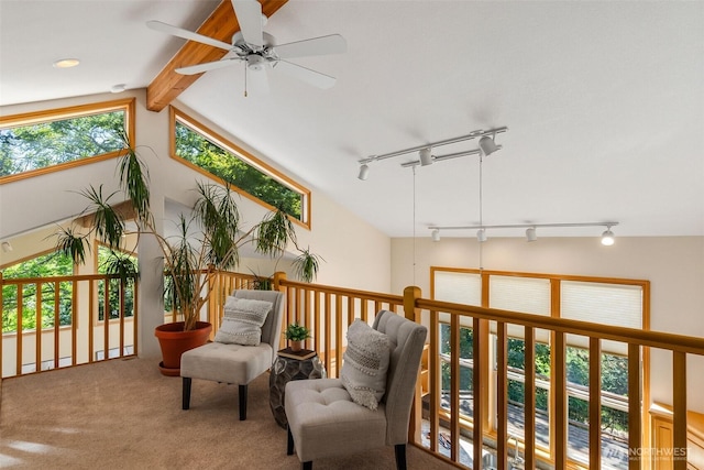 6701 Macintosh Ct SE, Olympia, WA 98513 - living area featuring track lighting, ceiling fan, and carpet floors