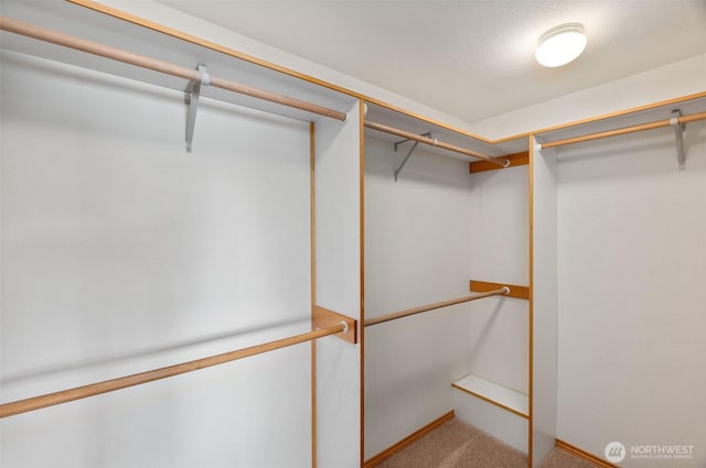 6701 Macintosh Ct SE, Olympia, WA 98513 - spacious closet with carpet flooring
