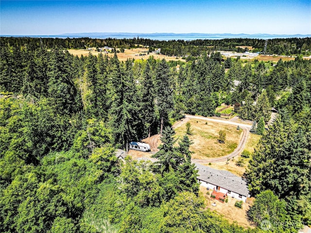 102 Cline Cabin Ln, Port Angeles, WA 98362 - photo 37