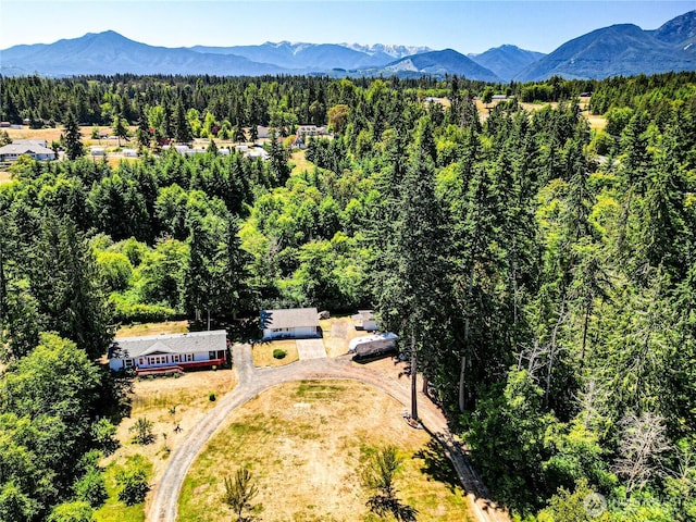 102 Cline Cabin Ln, Port Angeles, WA 98362 - photo 38
