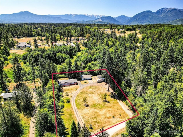 102 Cline Cabin Ln, Port Angeles, WA 98362 - photo 39