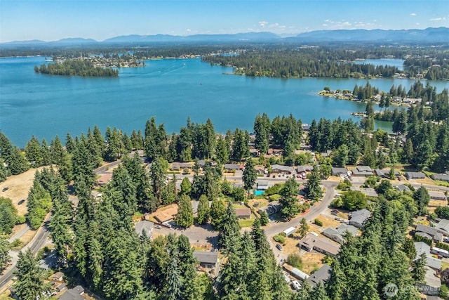 19214 54th St E, Bonney Lake, WA 98391 - photo 3