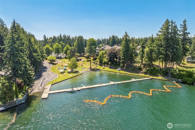 19214 54th St E, Bonney Lake, WA 98391 - photo 25